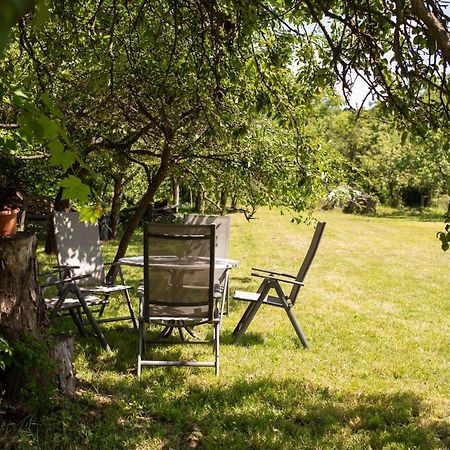 Barna Fahaz Appartement Tarnaszentmaria Buitenkant foto