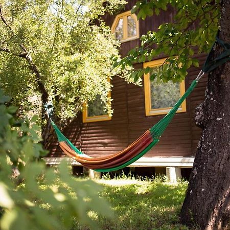 Barna Fahaz Appartement Tarnaszentmaria Buitenkant foto
